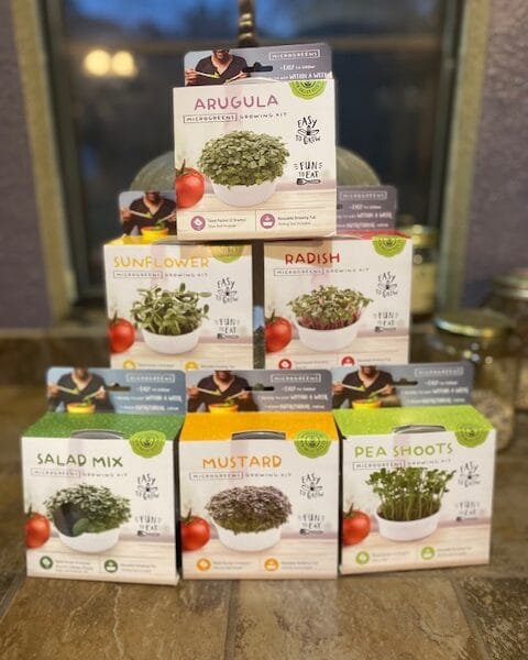 Mini Microgreens - Salad Mix