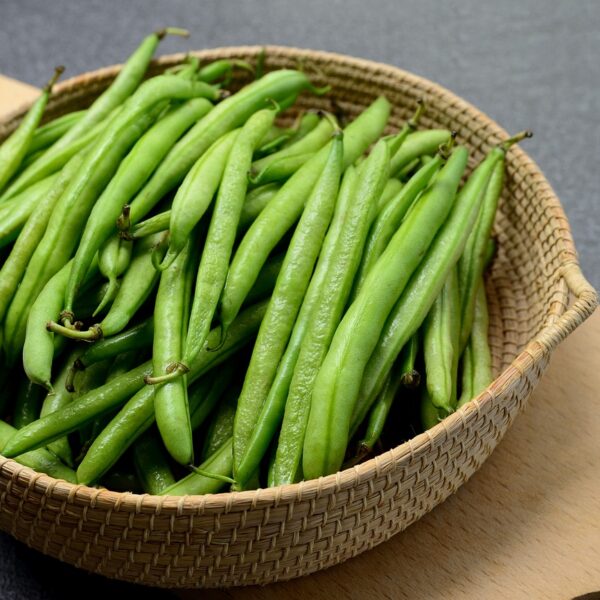 beans, green beans, bush beans-7300846.jpg