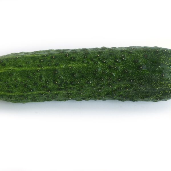 cucumber, green, vegetable-845953.jpg