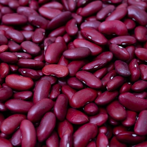 kidney beans, beans, food-6953229.jpg
