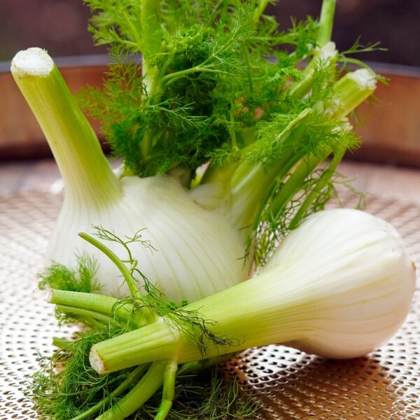 fennel, vegetables, produce-6947467.jpg