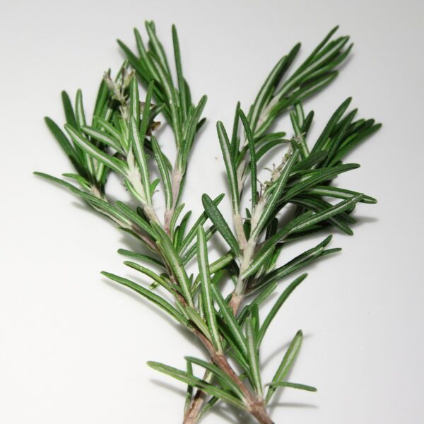 rosemary, spices, cooking-674505.jpg