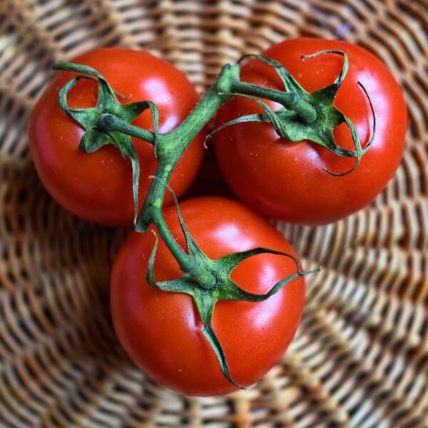 tomatoes, fruits, food-3520004.jpg