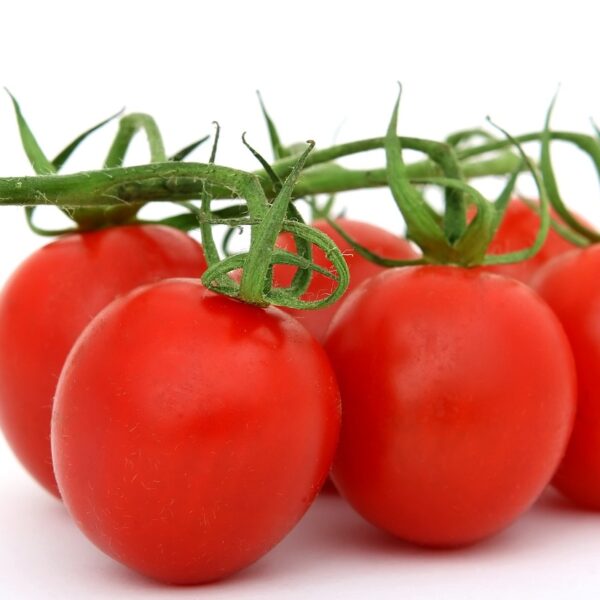 tomatoes, vegetables, food-1238255.jpg