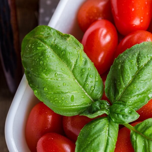 tomatoes, vegetables, tomato-1887243.jpg